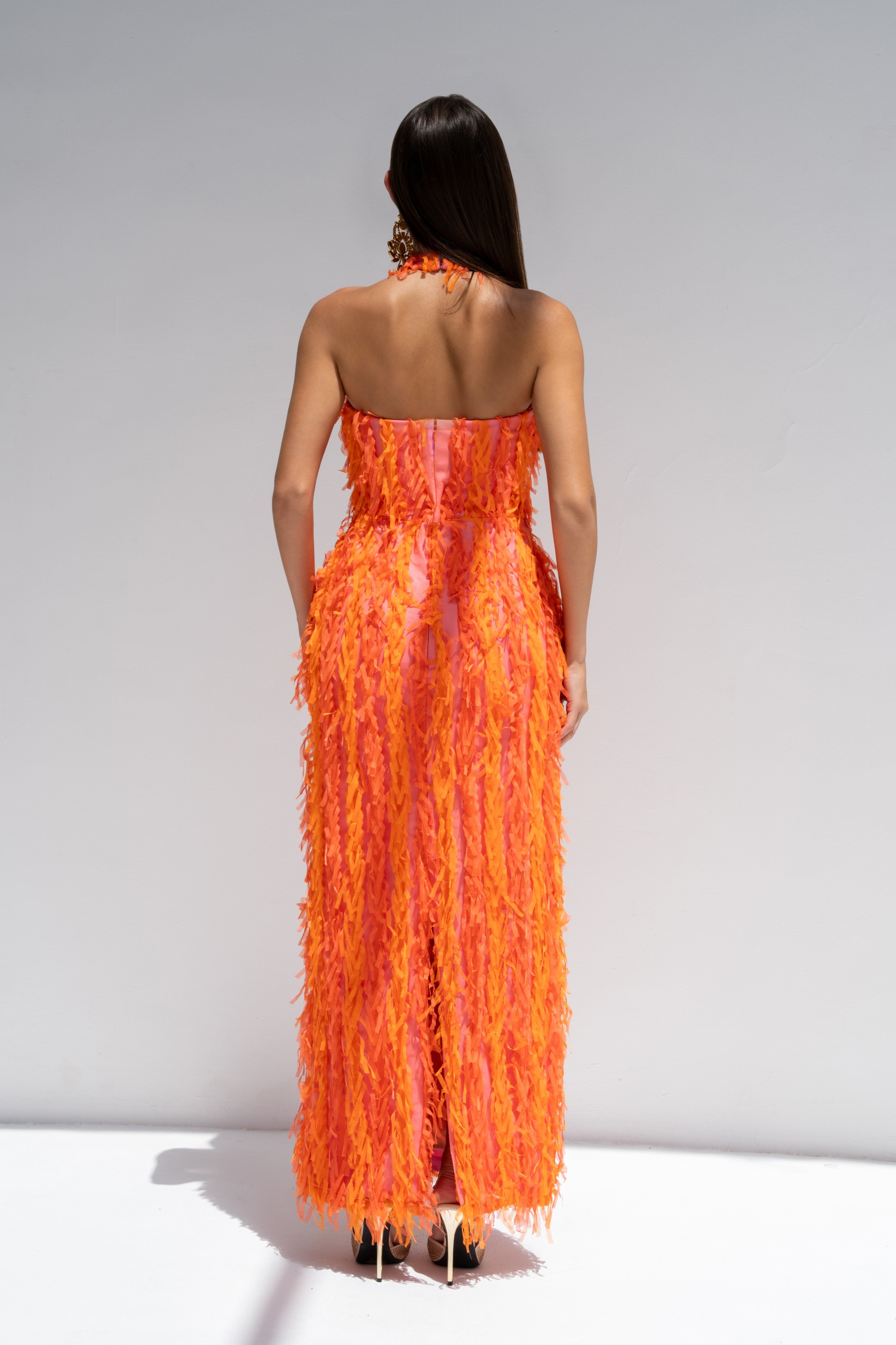 Tiger Lily